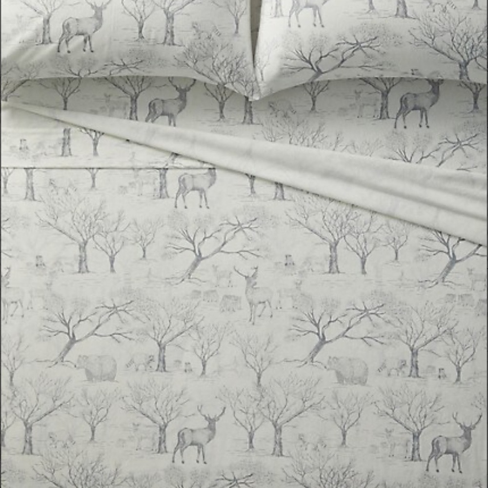 Printed Cotton Flannel Queen Sheet Set